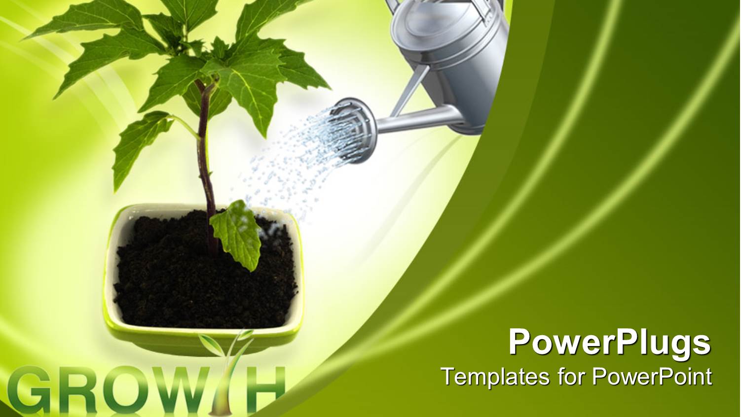 Young Tree in Pot with Watering can, Green Background, Growth