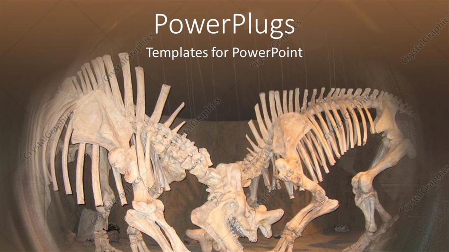 Premium Template for PowerPoint & Google Slides 