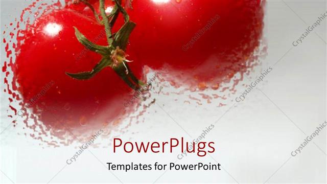  Presentation with food red - 3 blurred red tomatoes with water drops on gradient gray background