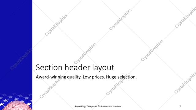 Section Header presentation slide layout