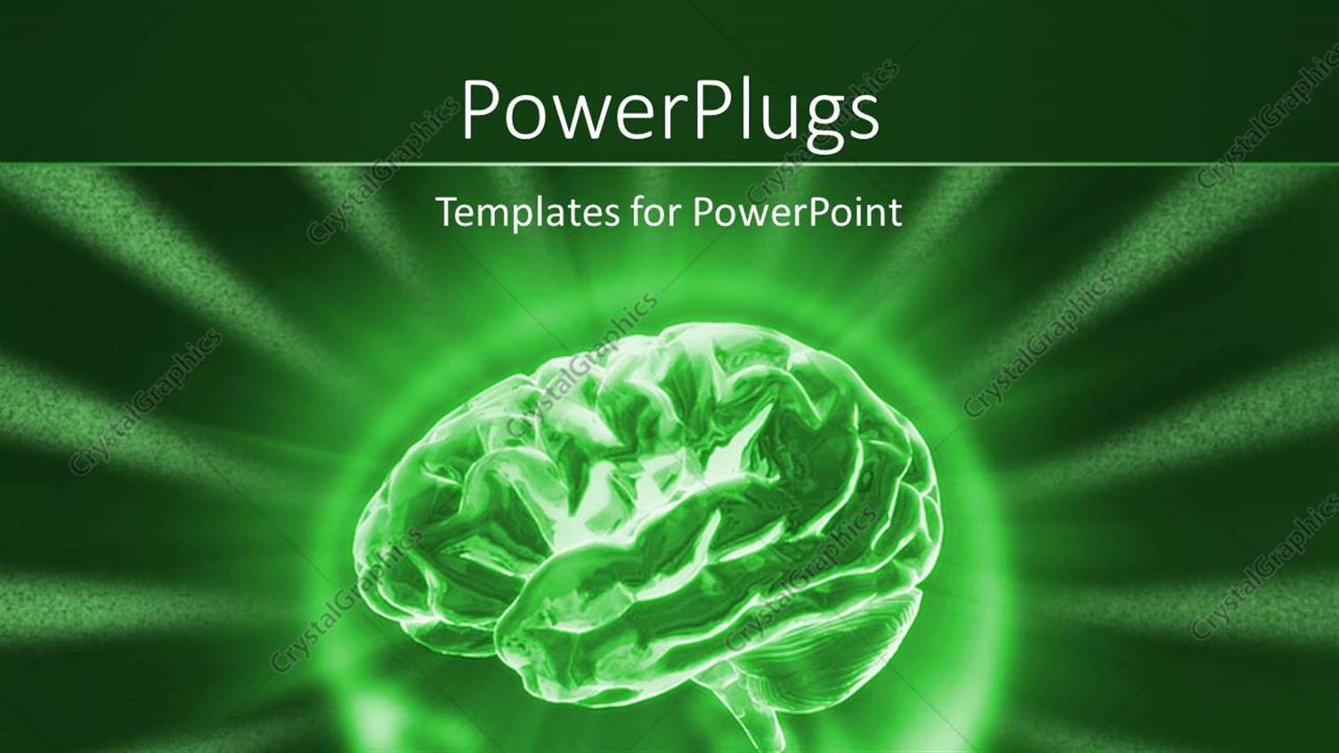 Premium Template for PowerPoint & Google Slides 