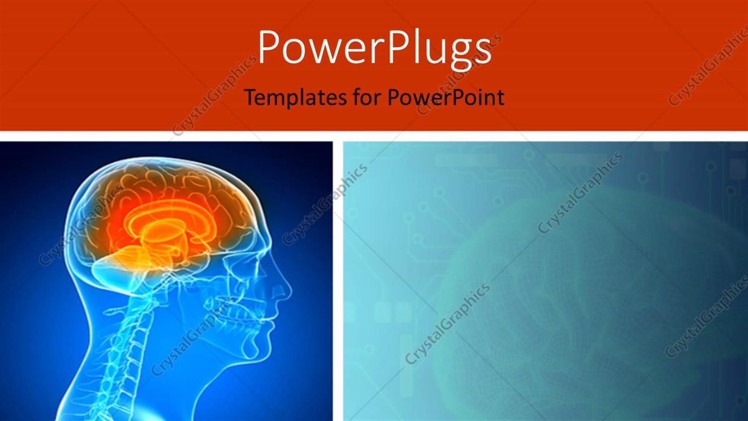 Premium Template for PowerPoint & Google Slides 