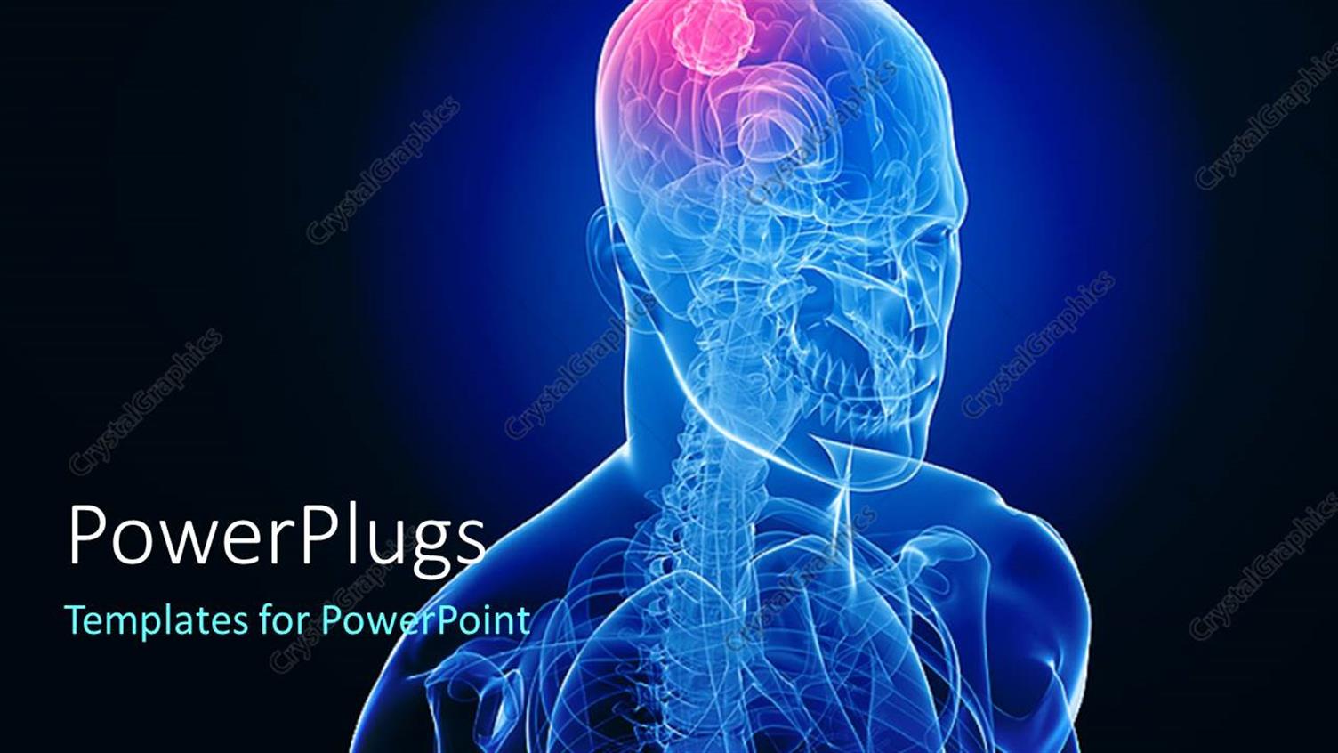 Premium Template for PowerPoint & Google Slides 