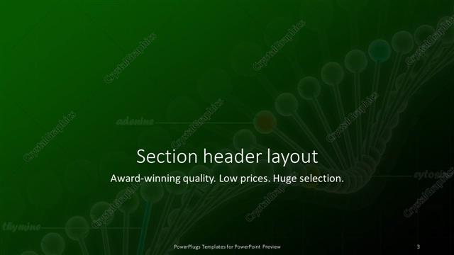 Section Header presentation slide layout