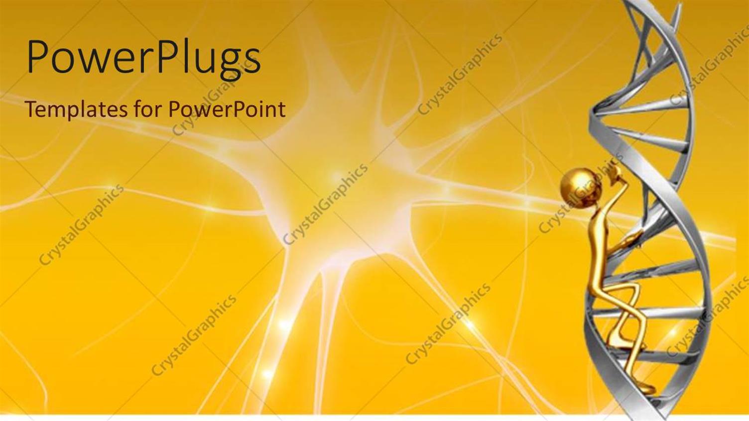 Premium Template for PowerPoint & Google Slides 