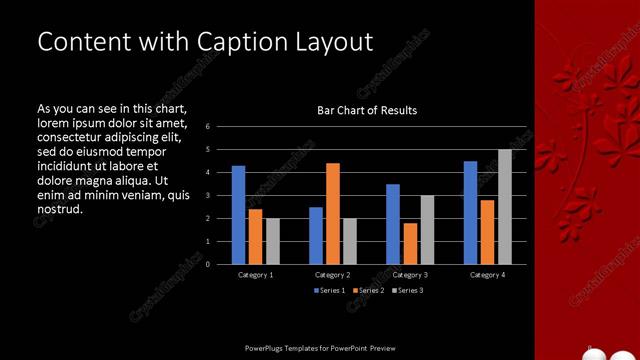 Content with Caption presentation slide layout