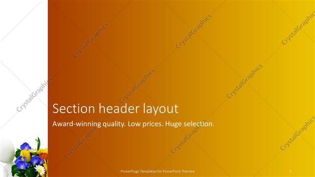 Section Header presentation slide layout