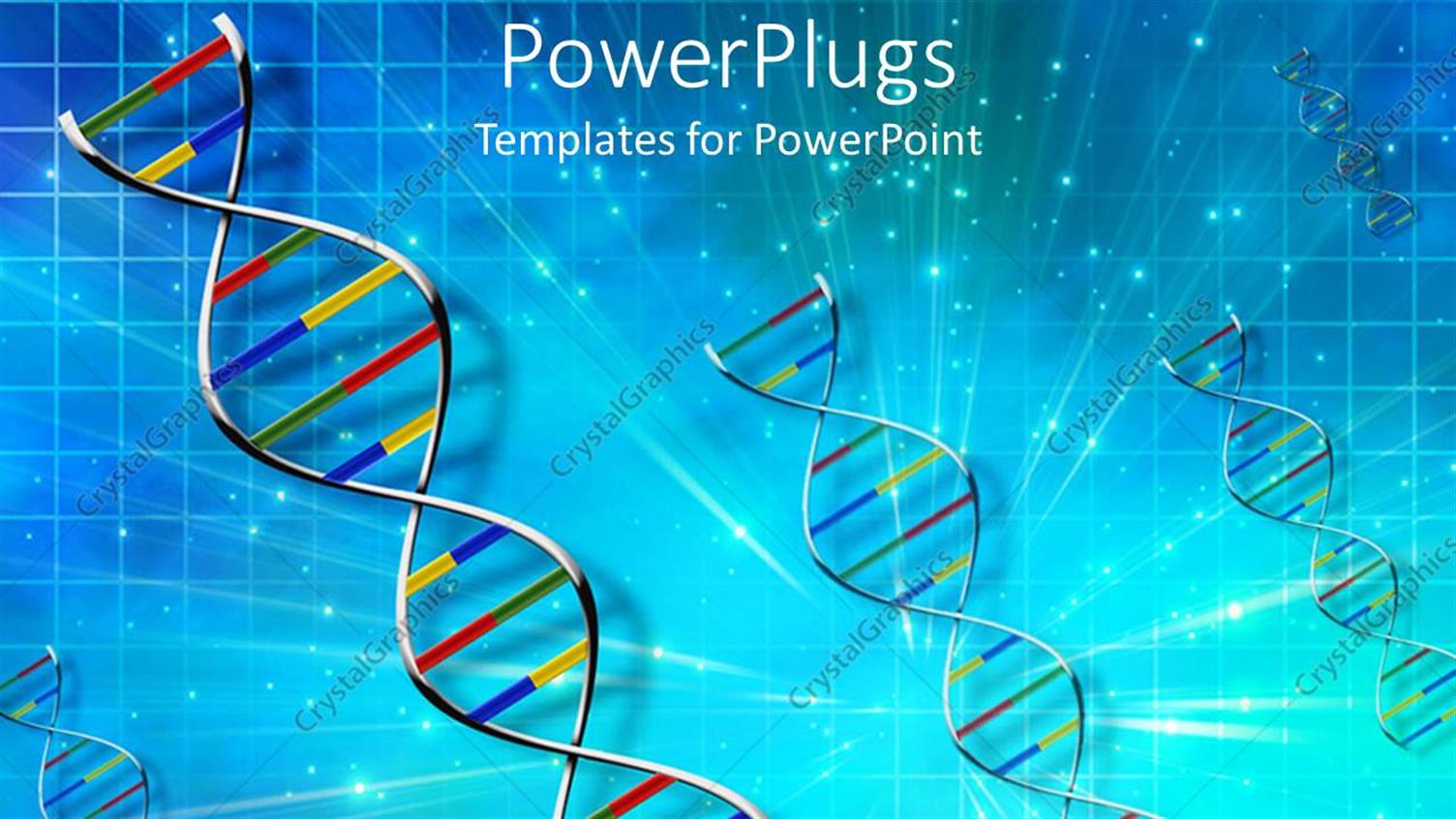 Premium Template for PowerPoint & Google Slides 