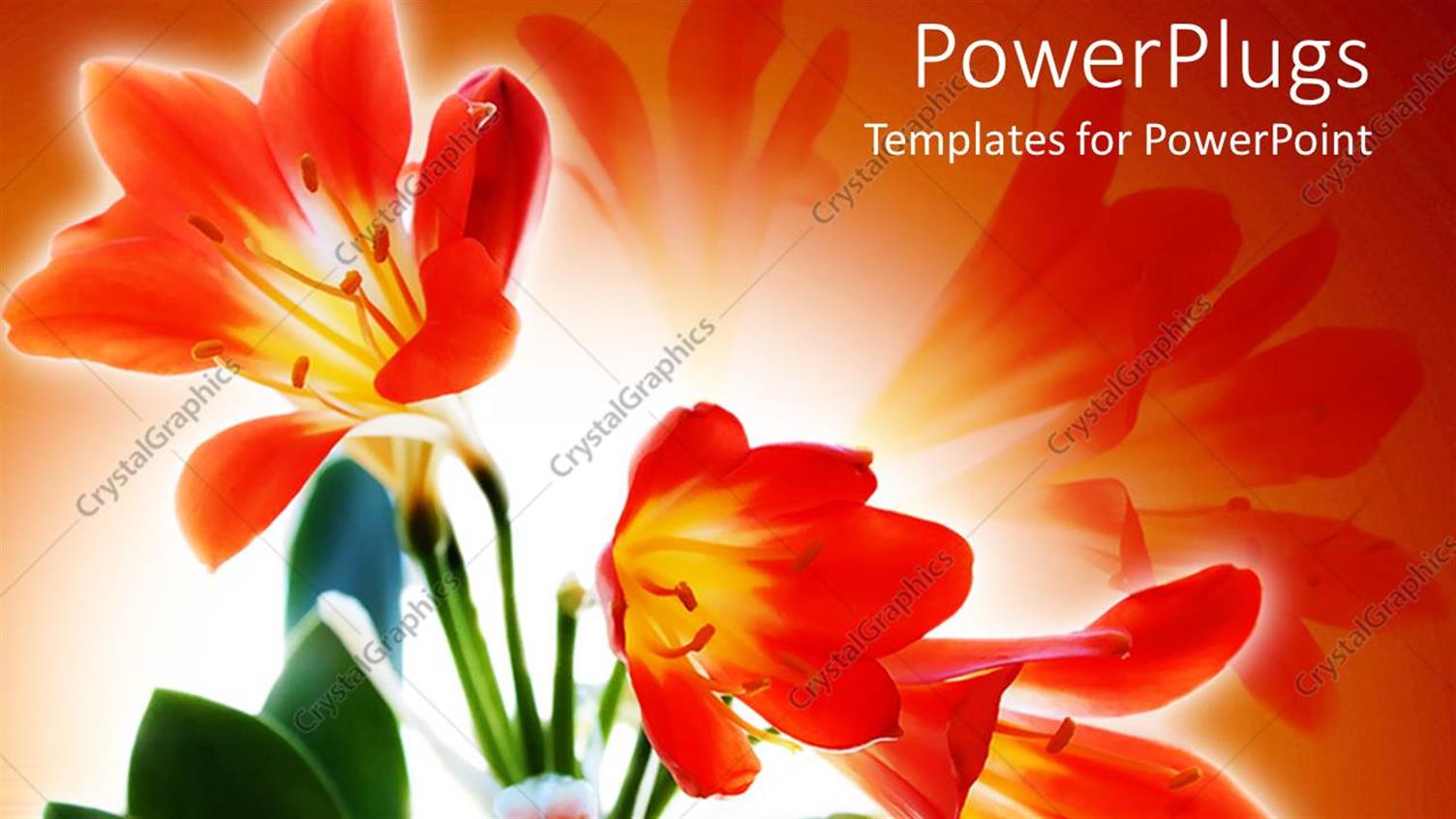 Premium Template for PowerPoint & Google Slides 