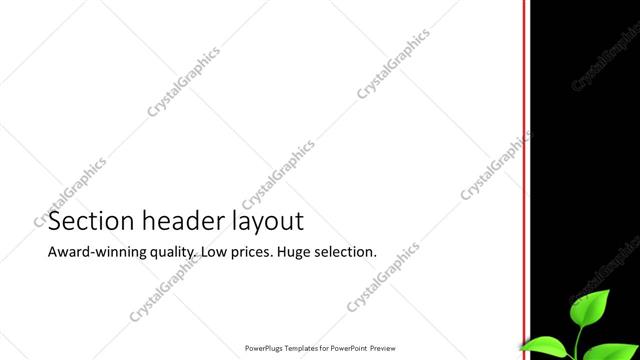 Section Header presentation slide layout