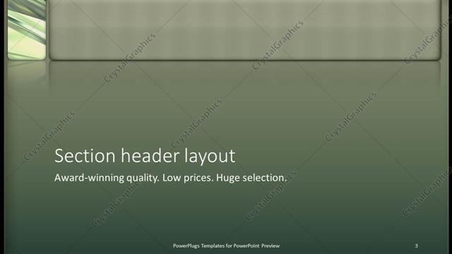 Section Header presentation slide layout