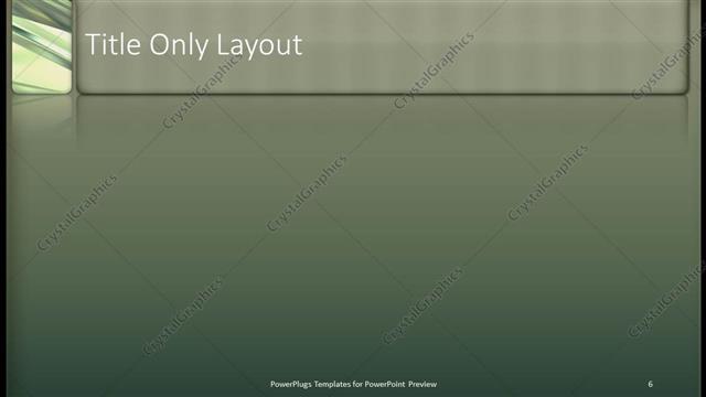 Title Only presentation slide layout