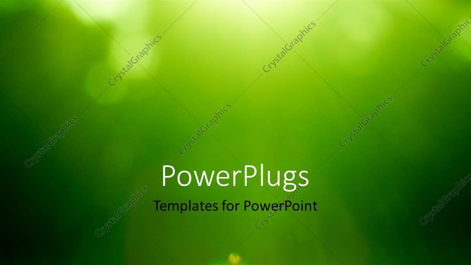 Premium Template for PowerPoint & Google Slides 