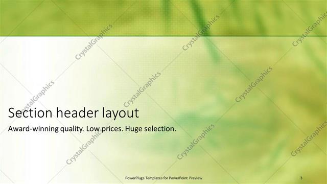 Section Header presentation slide layout