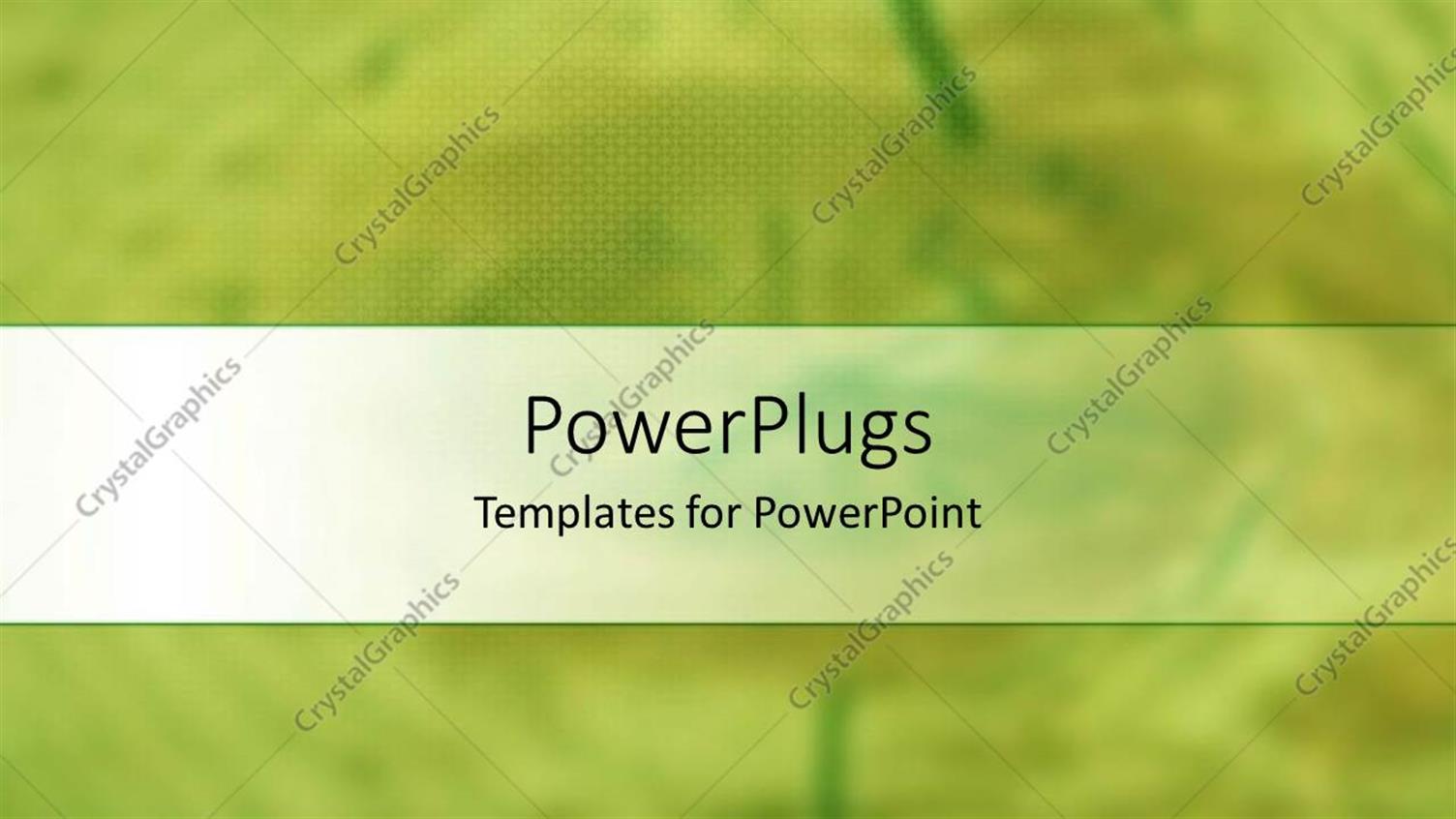 Premium Template for PowerPoint & Google Slides 