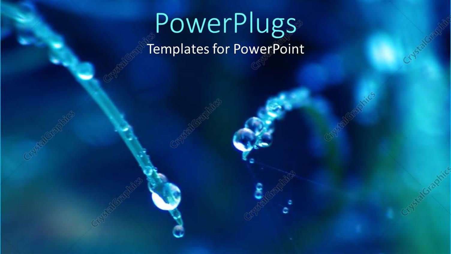 Premium Template for PowerPoint & Google Slides 