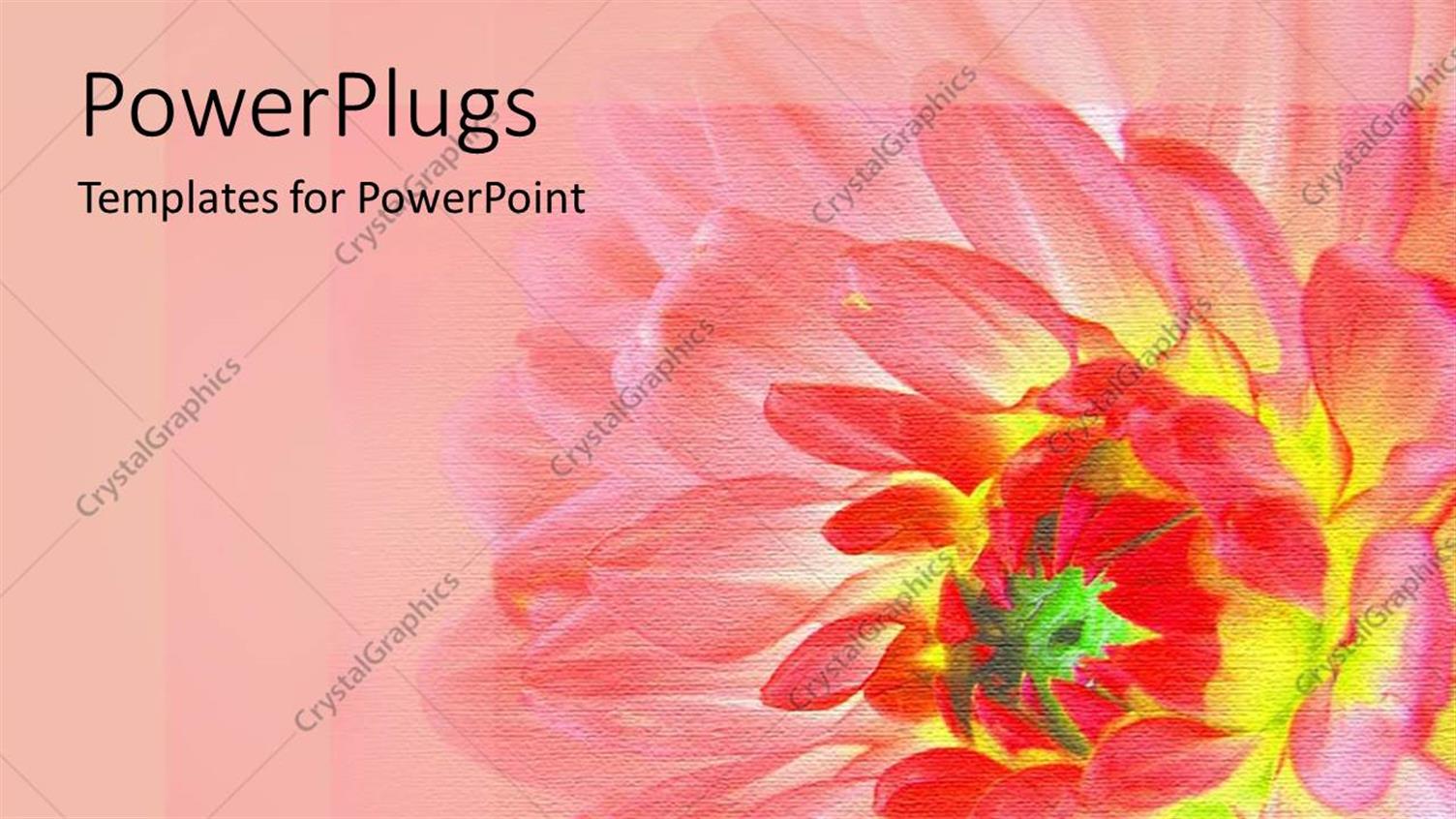 Premium Template for PowerPoint & Google Slides 