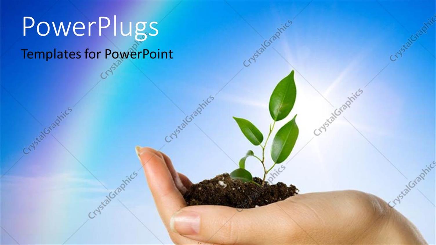 Premium Template for PowerPoint & Google Slides 