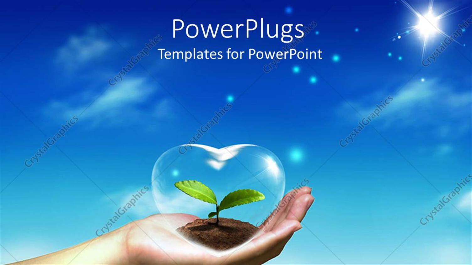 Premium Template for PowerPoint & Google Slides 