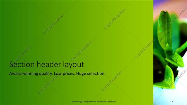 Section Header presentation slide layout