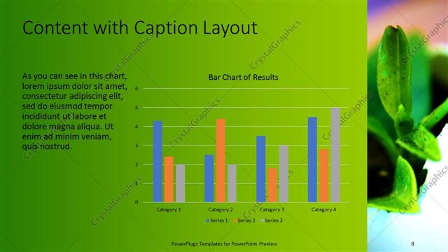Content with Caption presentation slide layout