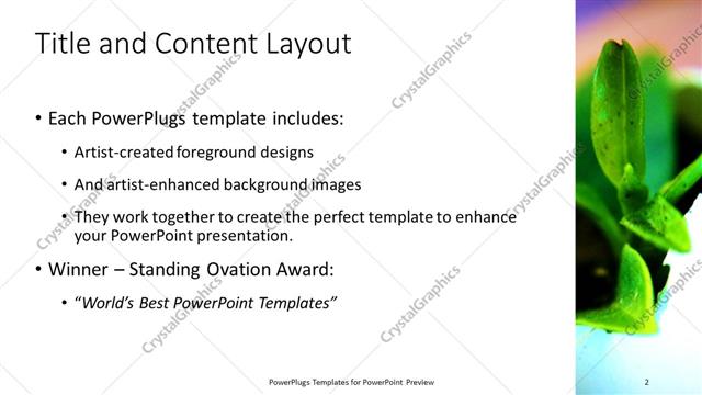 Title and Content presentation slide layout