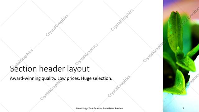 Section Header presentation slide layout
