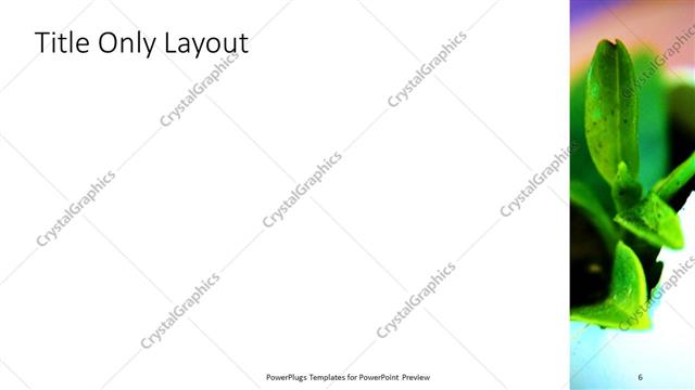 Title Only presentation slide layout