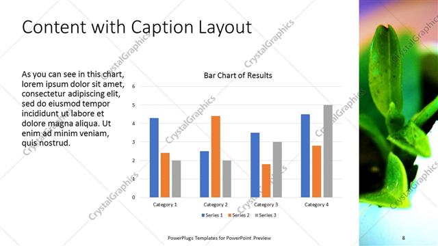 Content with Caption presentation slide layout