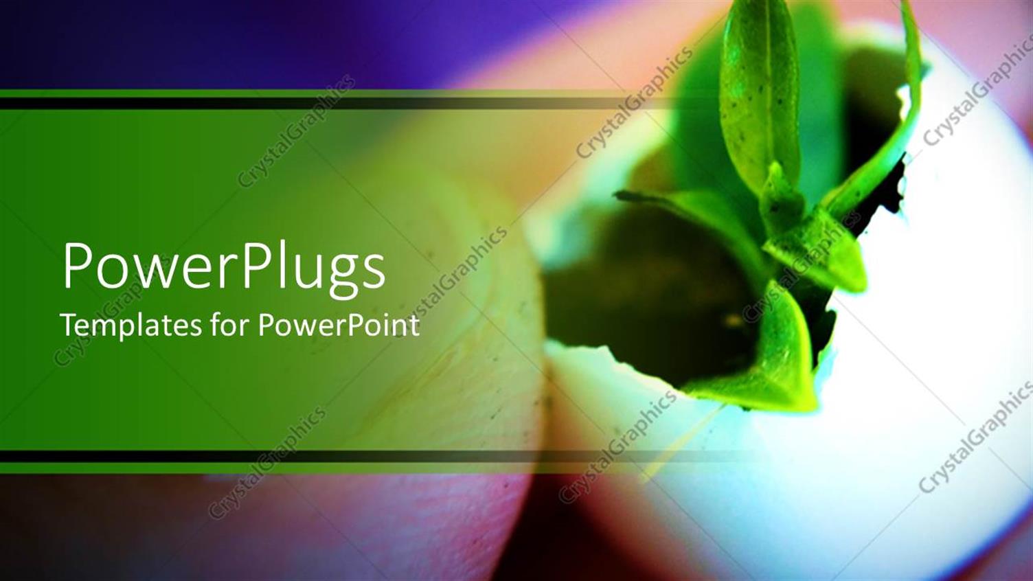 Premium Template for PowerPoint & Google Slides 