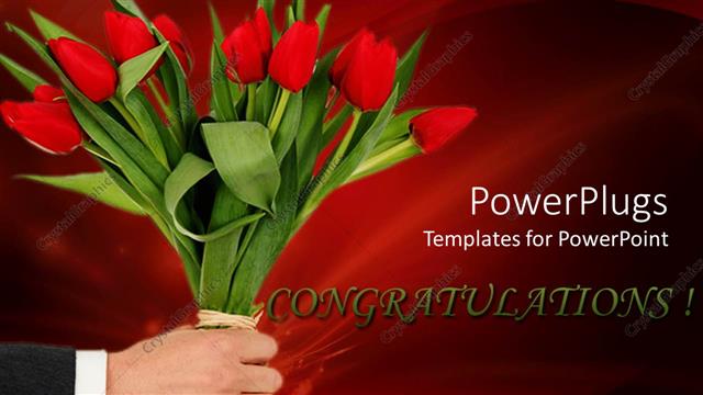  Presentation with congrats - Adult male hand holding a bunch of red tulip flowers