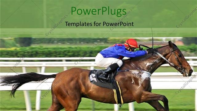  Presentation with horse riding - Adult male riding a horse in a plain grass field