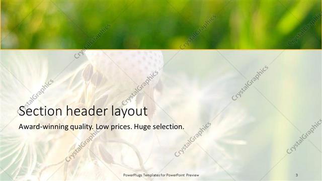Section Header presentation slide layout
