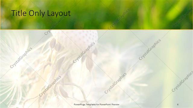 Title Only presentation slide layout