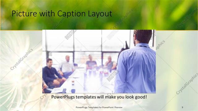 Picture with Caption presentation slide layout
