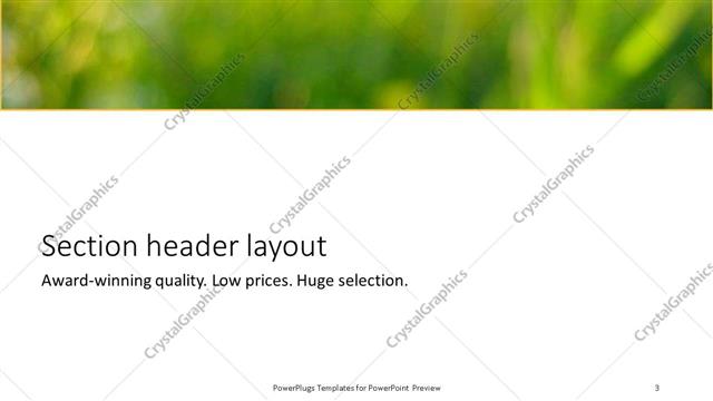 Section Header presentation slide layout