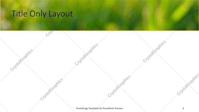 Title Only presentation slide layout