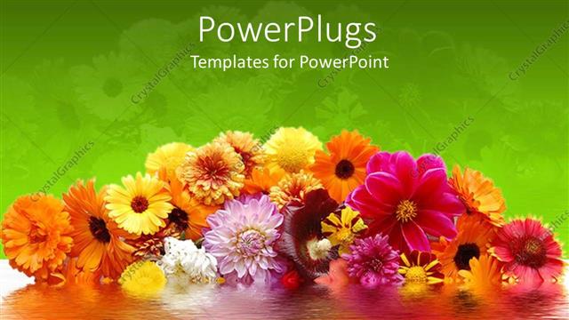  Presentation with amazing - Amazing flowers with different and attractive colors and green background