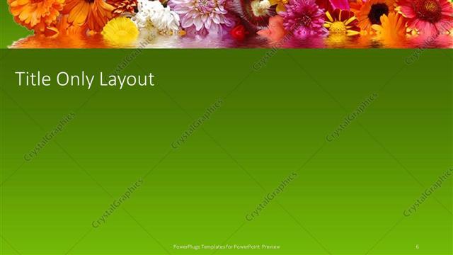 Title Only presentation slide layout