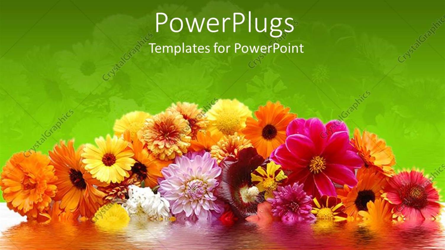 Featuring Amazing Flowers with Different and Attractive Colors and Green Background