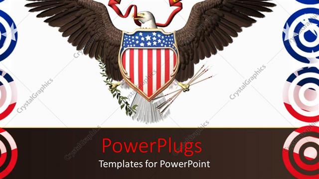  Presentation with hawk - An America n hawk with white background