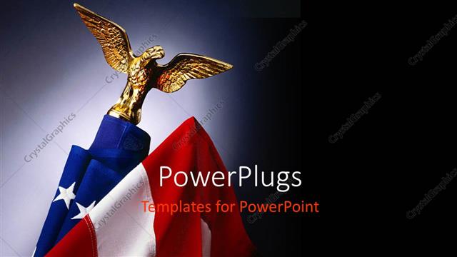  Presentation with hawk - A hawk with an American flag