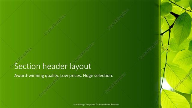 Section Header presentation slide layout