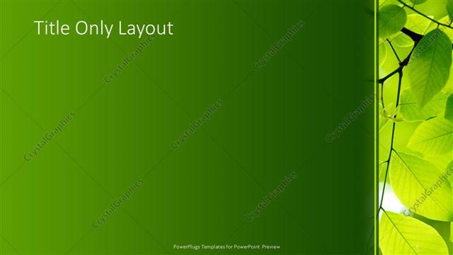 Title Only presentation slide layout