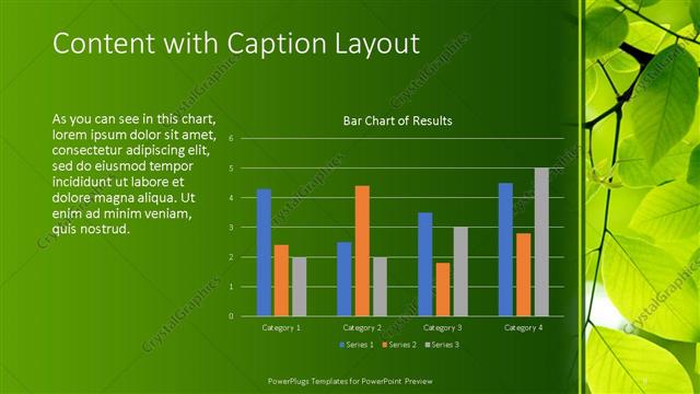 Content with Caption presentation slide layout