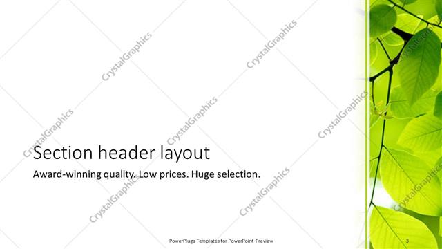 Section Header presentation slide layout