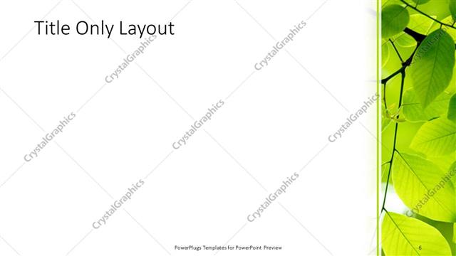 Title Only presentation slide layout