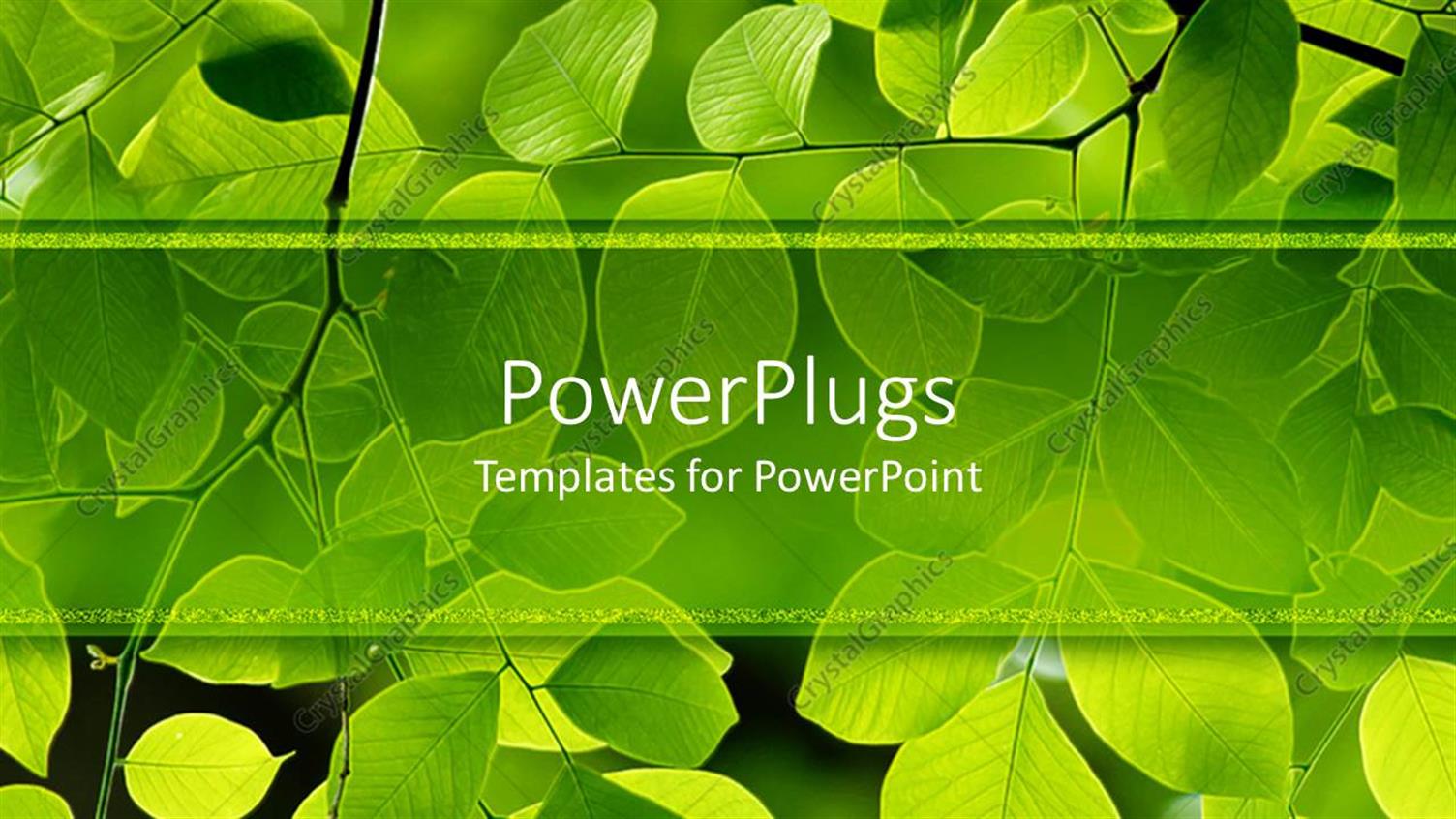 Premium Template for PowerPoint & Google Slides 