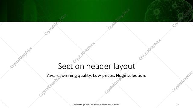 Section Header presentation slide layout