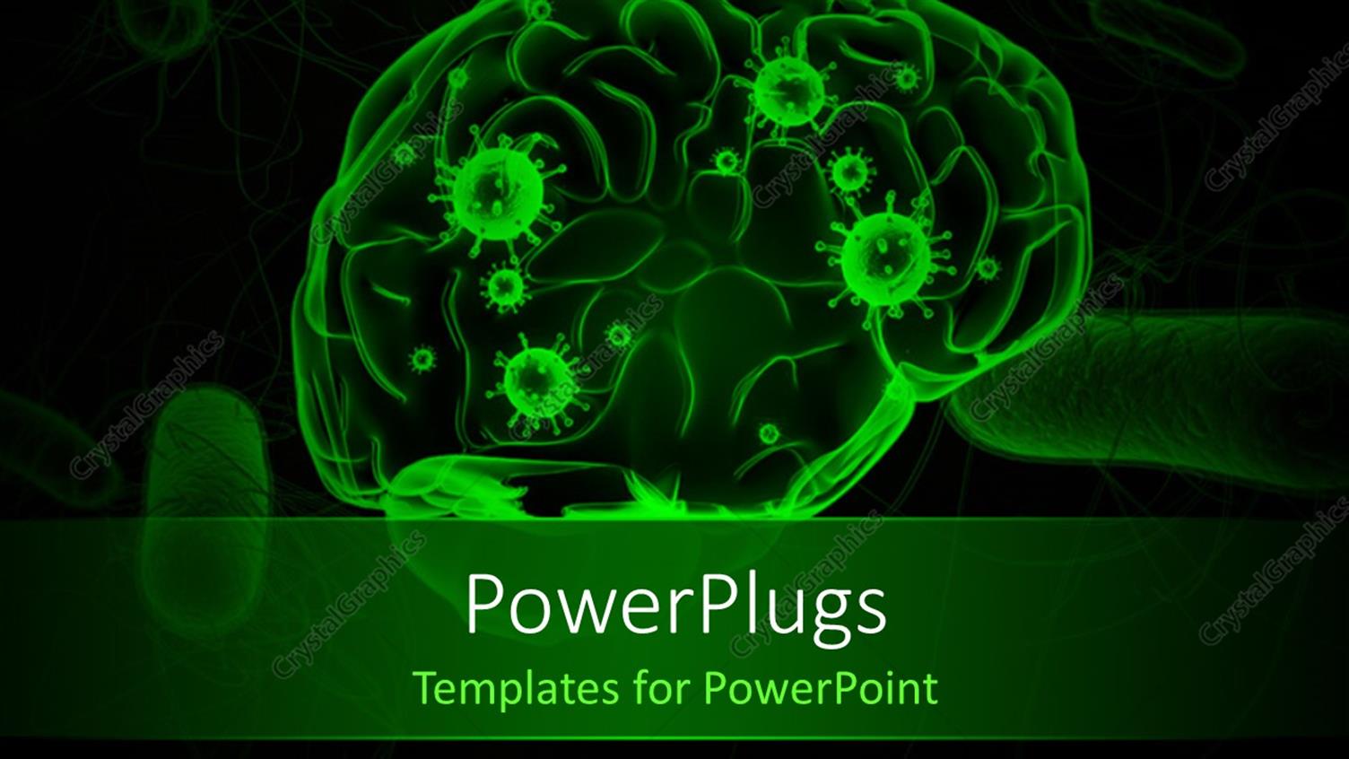 Premium Template for PowerPoint & Google Slides 